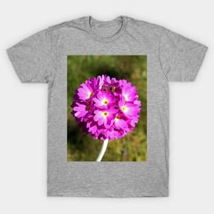 Pink Puffs T-Shirt